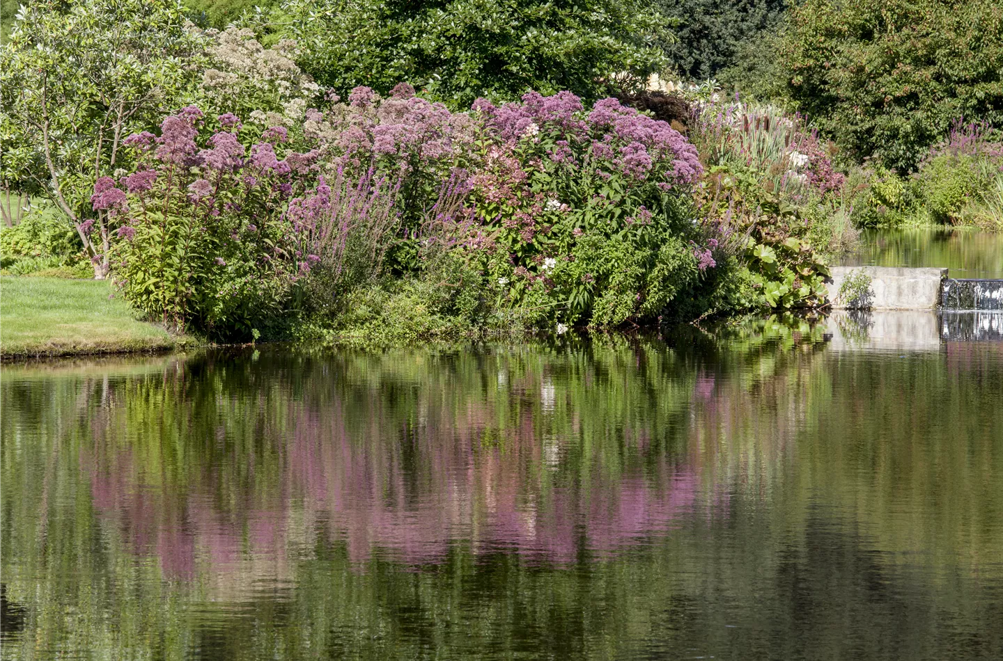 Natürliche Algenbekämpfung im Teich