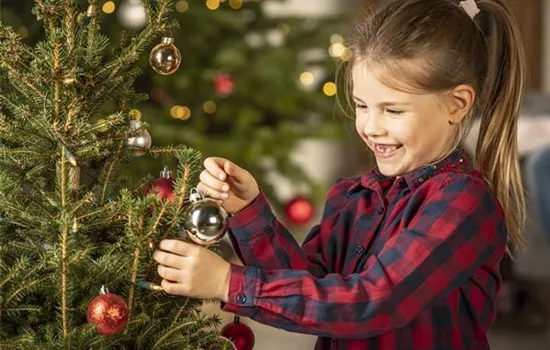Der Weihnachtsbaum in der Adventszeit – so bleibt er frisch