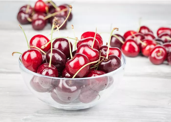 Kirschen, Zwetschen, Mirabellen, Pfirsiche