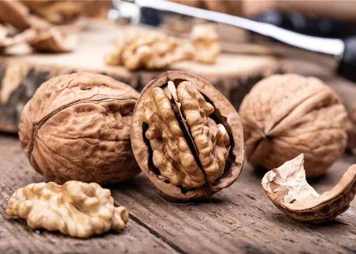 Nüsse und Besonderheiten