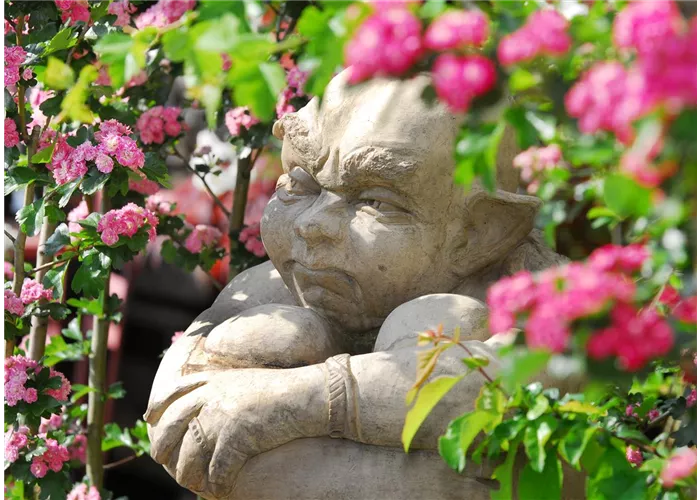 Accessoires In & Outdoor