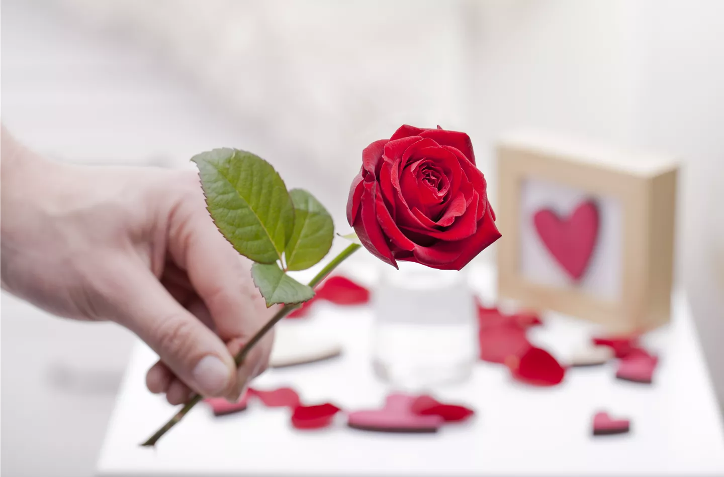 Blühender Valentinstag - für sie und ihn!