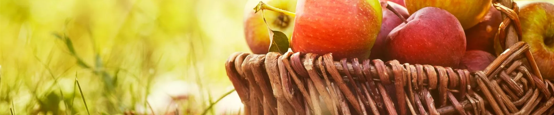 Depositphotos_mittel_mythja 