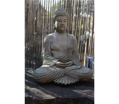 Buddah Buddah