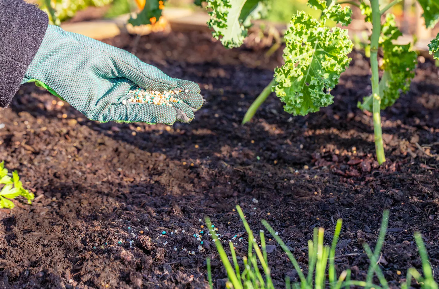 Dünger ist nicht gleich Dünger