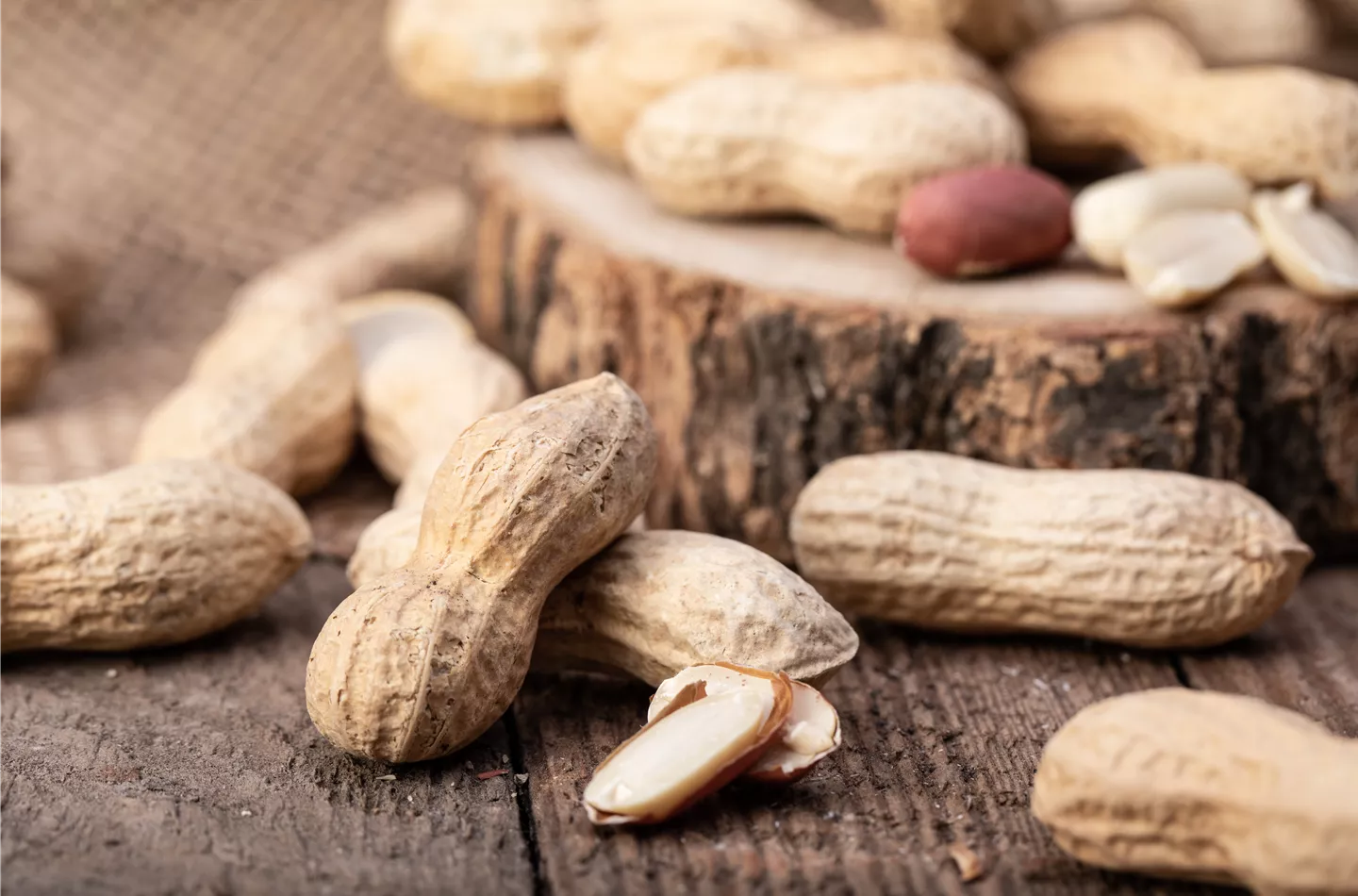 Erdnüsse im eigenen Garten 