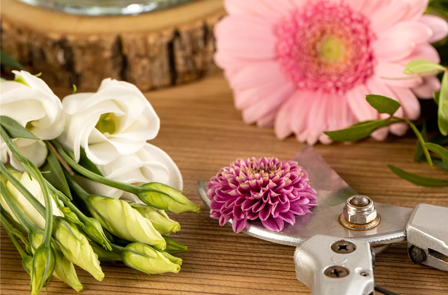 Schnittblumen - was hilft wirklich?