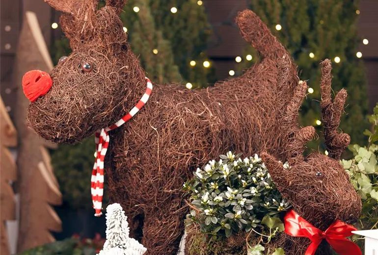 Rentier Deko 