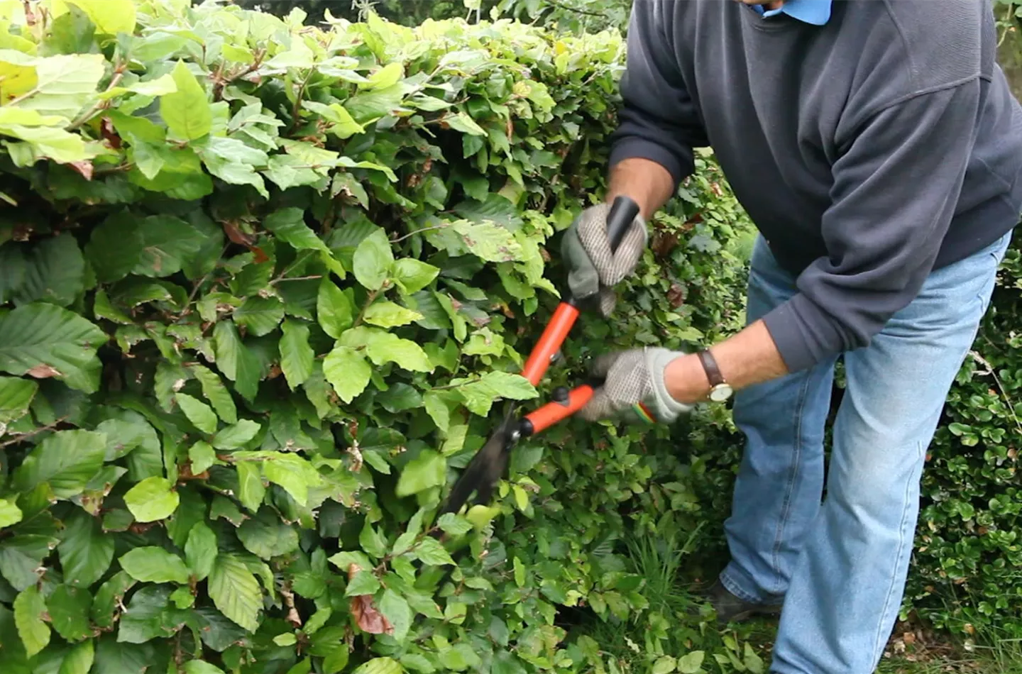 Schneidwerkzeuge und Zubehör