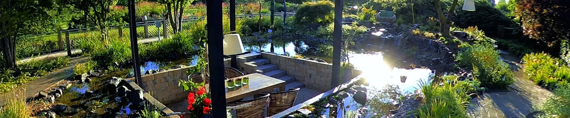 Gartengestaltung - Wassergarten (Thumbnail) Gartengestaltung - Wassergarten (Thumbnail)
