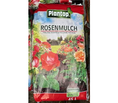 Rosenmulch Rosenmulch