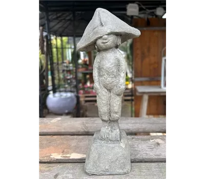 Ahoi-Mini  Ahoi-Mini