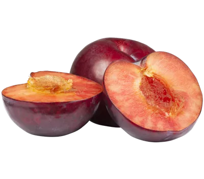 Prunus domestica 'Safira' Prunus domestica 'Safira'