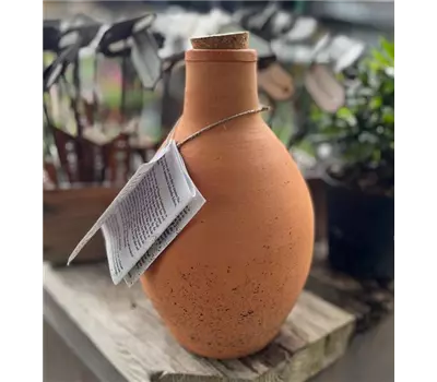 Olla