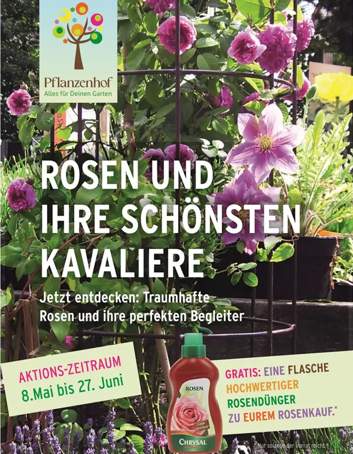 RosenplakatAktion.jpg