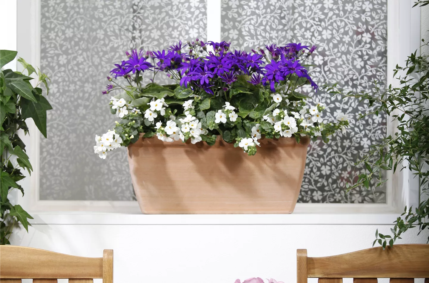 Der Winter wird grün: Winterharte Pflanzen für den Balkon Der Winter wird grün: Winterharte Pflanzen für den Balkon