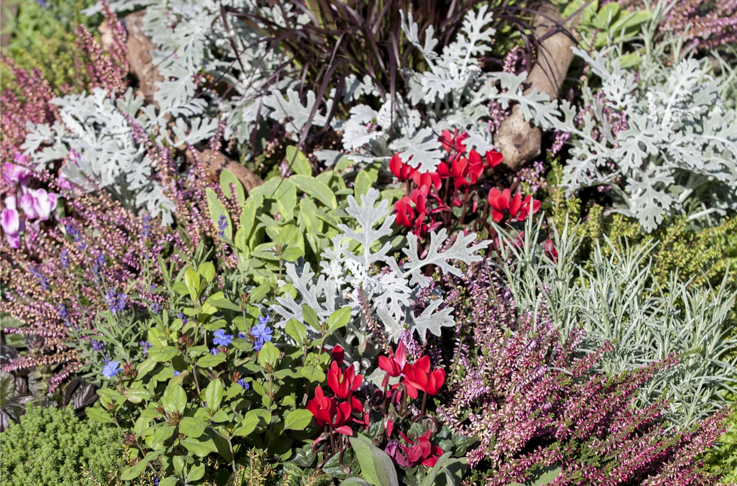 Die Grabpflege im Herbst
