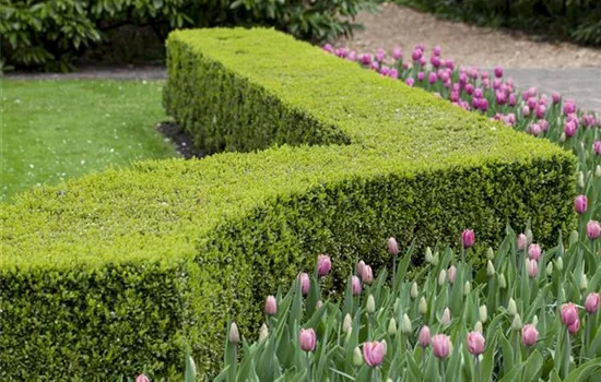 Gartenräume optimal gestalten Gartenräume optimal gestalten