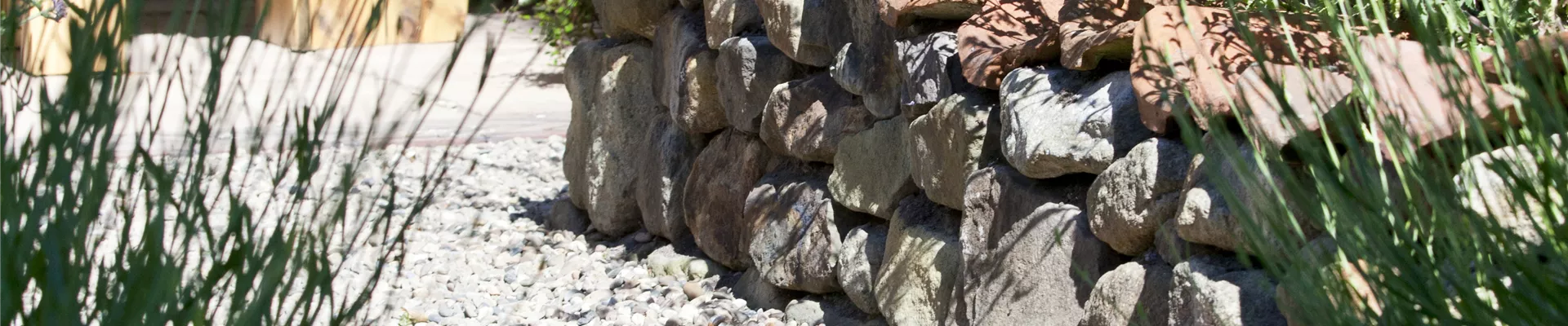 Perovskia atriplicifolia