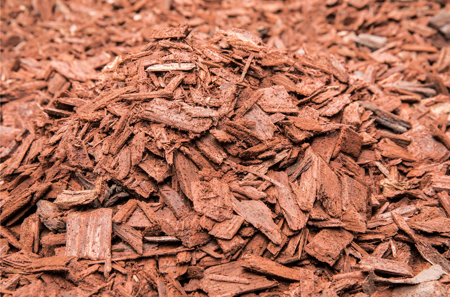 Der Mulch macht’s Der Mulch macht’s