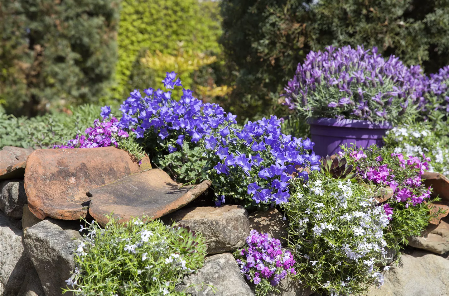 Gartenarbeiten im Mai